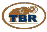 TBR Especializado